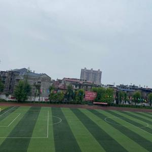 信息技术学业水平考试 头像