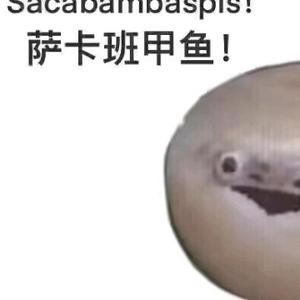 钦察历史地理 头像