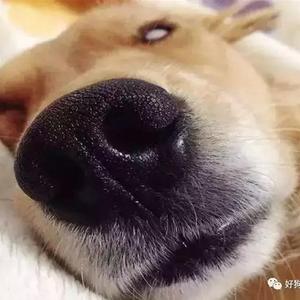 小飞嘚啵嘚 头像