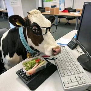 发财海登0w8n 头像