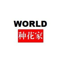 WORLD种花家头像