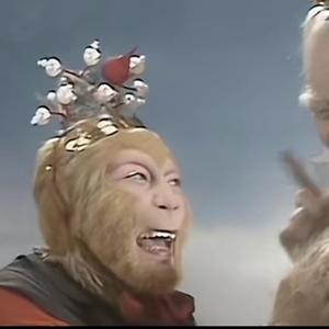 一只小洋洋 头像