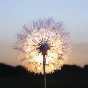 一柠的爸爸 头像