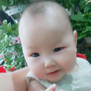 欣欣一家子 头像