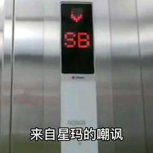 奋发枫叶88头像