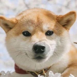 维修艺术家 头像