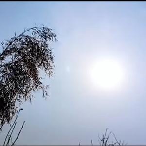 一个故事一个影 头像