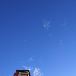 ss生活那些事儿 头像