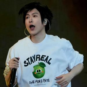 长得像吹风筒的猪 头像