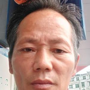 东东79588