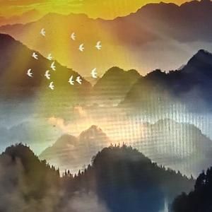 一万个为什么 头像