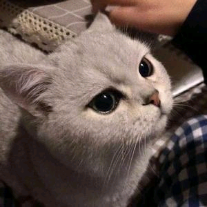 幻一文案馆 头像