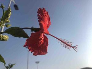 美食家埃弗里 头像