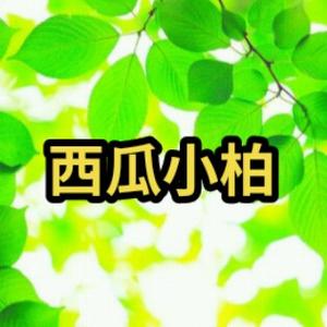 西瓜小柏头像