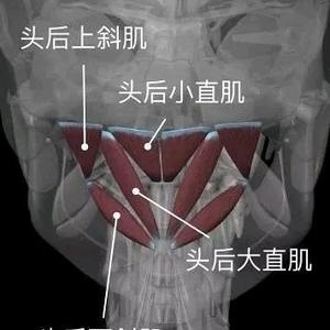 榆阳区中医医院常亭头像