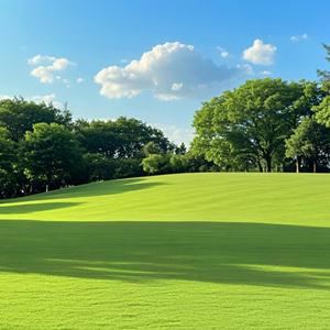 云子爱生活 头像