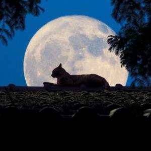 税来税往税税相随 头像