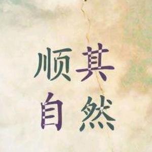 优雅星辰qeN 头像