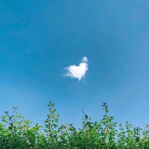 洒红垦单解放路 头像