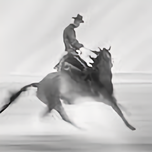 坐行九万里 头像