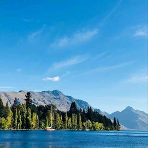 放下执念降低预期 头像