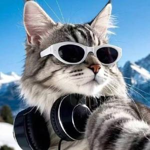 追梦的松哥 头像