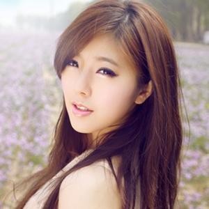 风吹过街道的葵花 头像