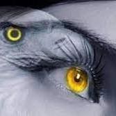 多才饺子9Tm 头像