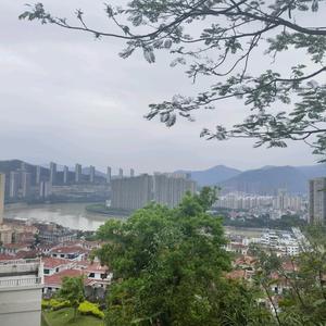 麦娱 头像