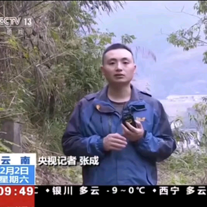 长沙张班长头像