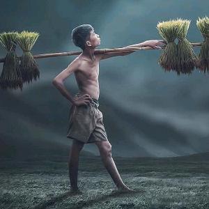 3两说实话 头像