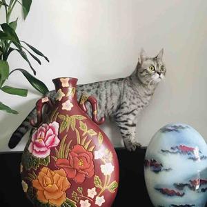 张宝花花
