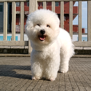 打工人的快乐 头像