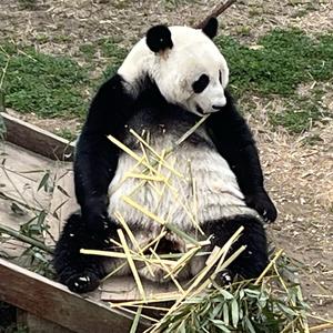 伟伟道来 头像
