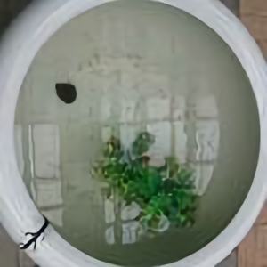 悟空问答 国王和皇帝到底有什么区别 16个回答