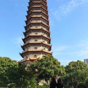攒股收息 头像