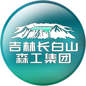 吉林长白山森工集团头像