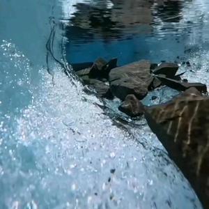 伟哥的随拍 头像