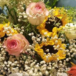 Angel在学习 头像