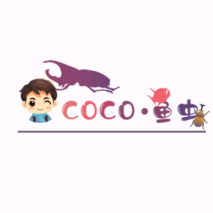 CoCo鱼虫头像