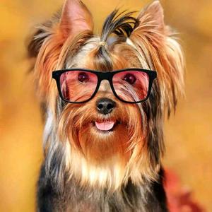 温柔文具盒4R6 头像