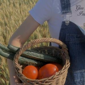 热心豆浆iV 头像