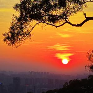 新料新先知 头像