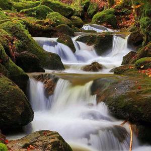 顺其自然大智若愚 头像