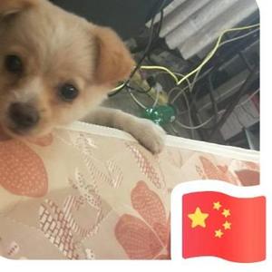 后生93 头像