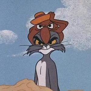 迷你宇宙猫 头像