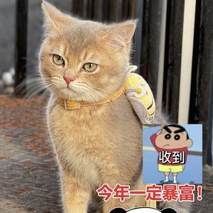 阿金｜记录生活 头像