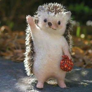 妙吾碎碎念 头像