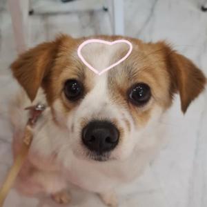 不走寻常陆同学 头像