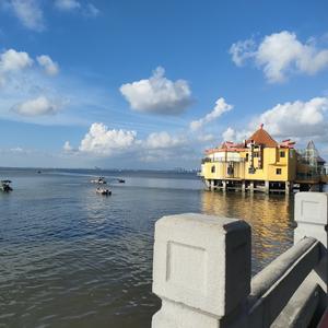 看今朝旧令 头像